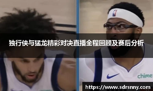 独行侠与猛龙精彩对决直播全程回顾及赛后分析